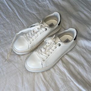 Steve Madden Sneakers